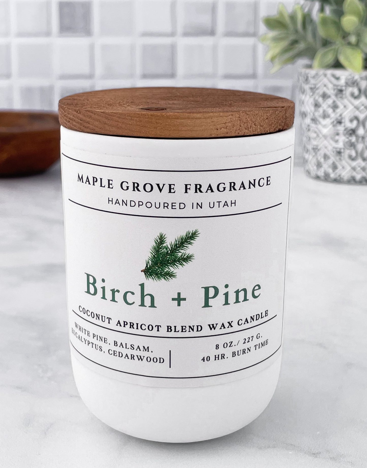 Birch & Pine